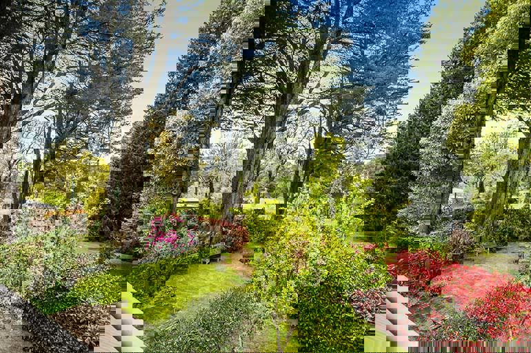 couples retreat blue mountains accommodation