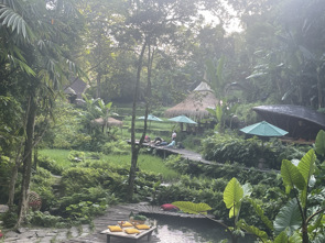 bali retreat couples